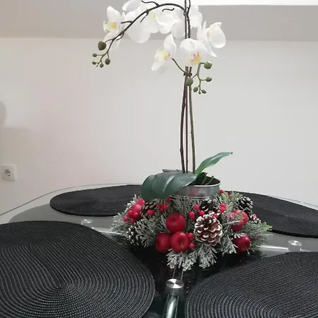 Apartment Frajla Zlatibor