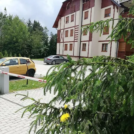 Frajla * Zlatibor