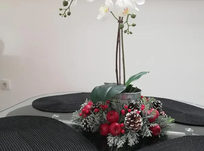 Daire Frajla Zlatibor